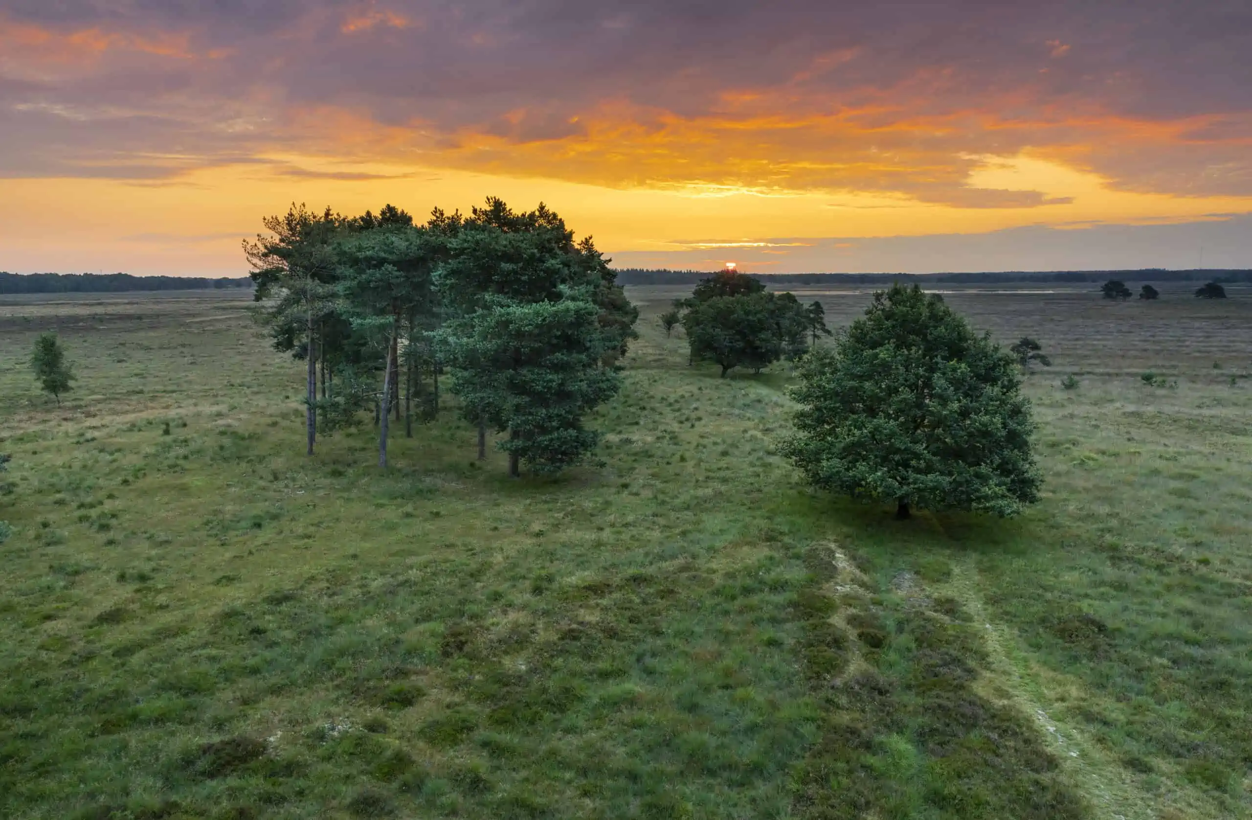 Drents-Friese Wold | Bij Koloniën van Weldadigheid | Hotel Frederiksoord